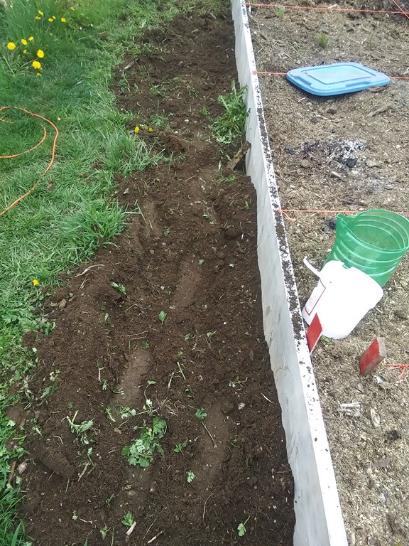 Christopher Greaves SecondEssays_20240608_161740.jpg